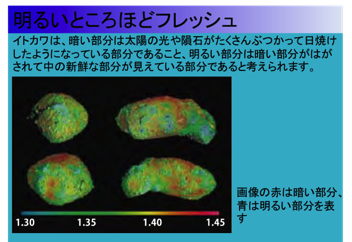 明るい部分ほど新鮮